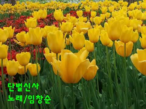 단벌신사  김문웅 사 정민섭 곡MMAG RCO3D&4038