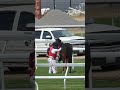 Exclusive Footage: Horse Death Opening Weekend at New Belmont Park