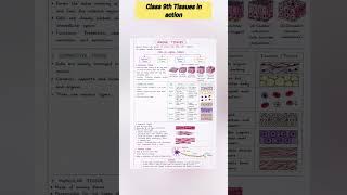 class 9th ch - 3 Tissues in action easy explanation notes 📝📌 #notes #class9