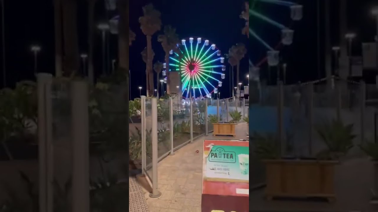 My first 6 months in Adelaide - Australia