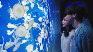新江ノ島水族館【藤沢市】｜体験・観光スポット ｜【公式】神奈川県の