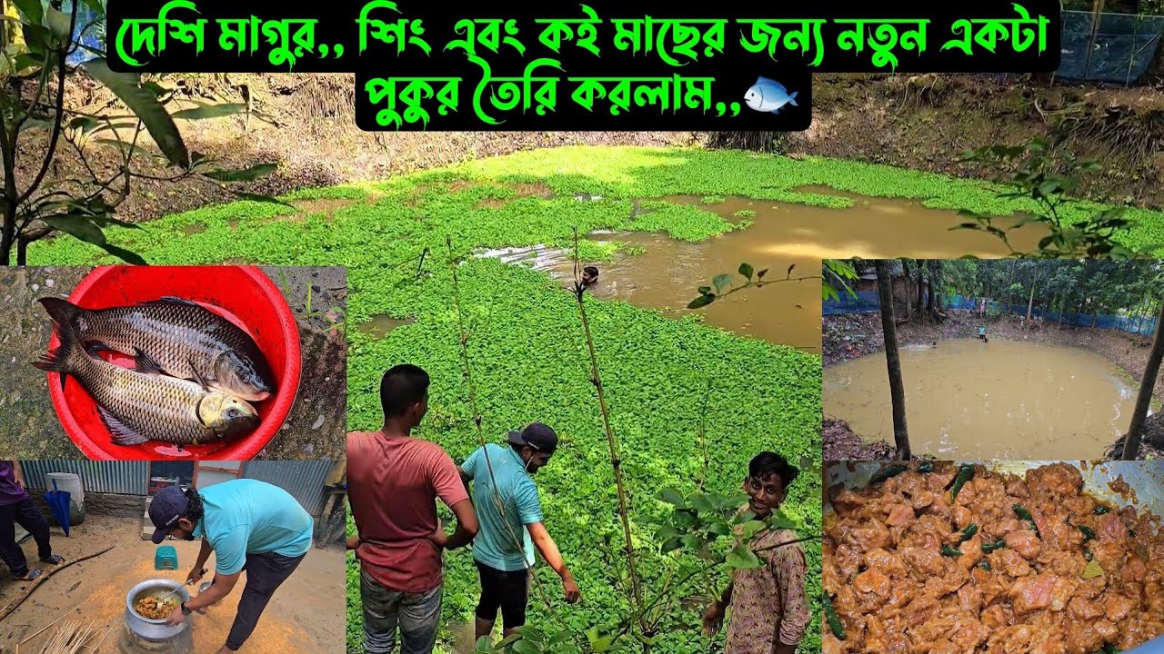 দেশি মাগুর,, শিং এবং কই মাছের জন্য নতুন একটা পুকুর তৈরি করলাম,,🐟