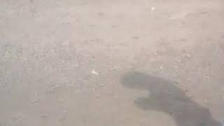 Salam Olsun 900000000