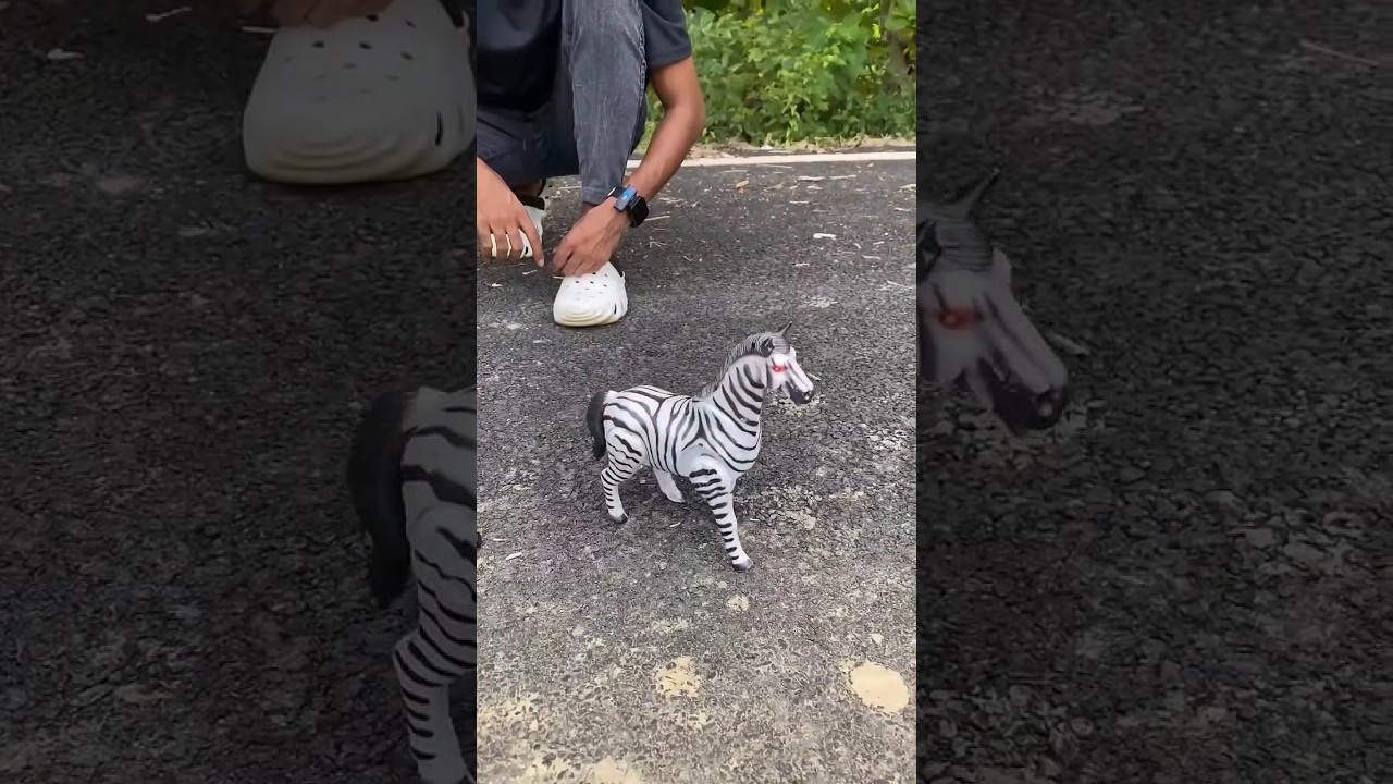 Remote control Horse 