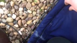 Penetrator Arrow Using 120Lb Crossbow