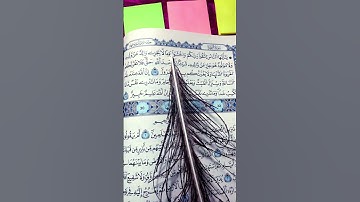 #القرآن_الكريم #اكسبلور #ياسر_الدوسري #ايات_قرانيه_قصيره #تلاوة_خاشعة #تلاوة_هادئة #reels #اللهم