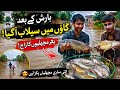 بارش کے بعد ندی میں ہزاروں مچھلیاں! 😱 سیلابی پانی میں زبردست شکار | Village Life Pakistan