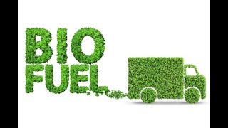 Sustainable Biofuels  - The Future of Energy