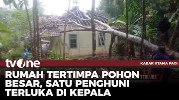 Hujan Deras dan Angin Kencang, Pohon Tumbang Timpa Rumah Warga | Kabar Utama Pagi tvOne