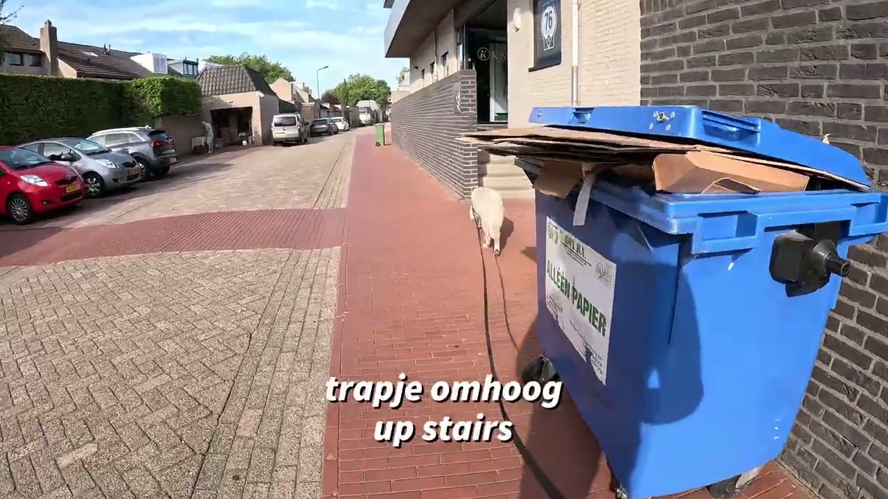 K9 Tracking Excellency lesson 103