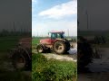 Отруєння води у криниці с Гуменів ТзОВ Ґудвеллі Україна Даноша 3 