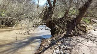 Gila River at Gila Box in Arizona