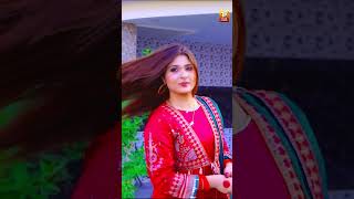 Khanewal Da Shezada | Wajid Ali Baghdadi | wajid ali baghdadi new song 2024 | TP Gold