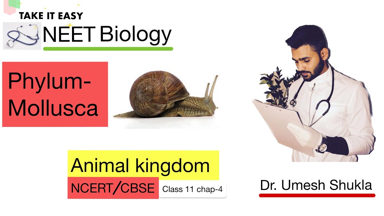 Phylum Mollusca | Animal kingdom | Class 11 | NEET Biology | by Dr. Umesh Shukla