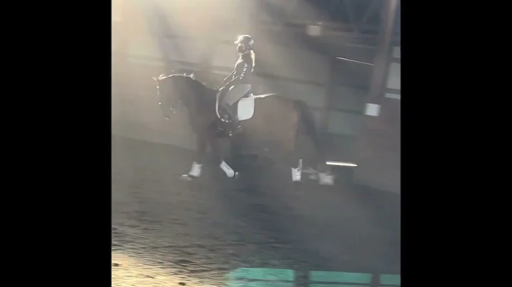 Maverick dressage 11.2022