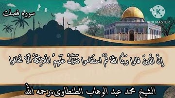 الشيخ محمد عبد الوهاب الطنطاوى.نوادر سوره فصلت.اجمل ماقراء.