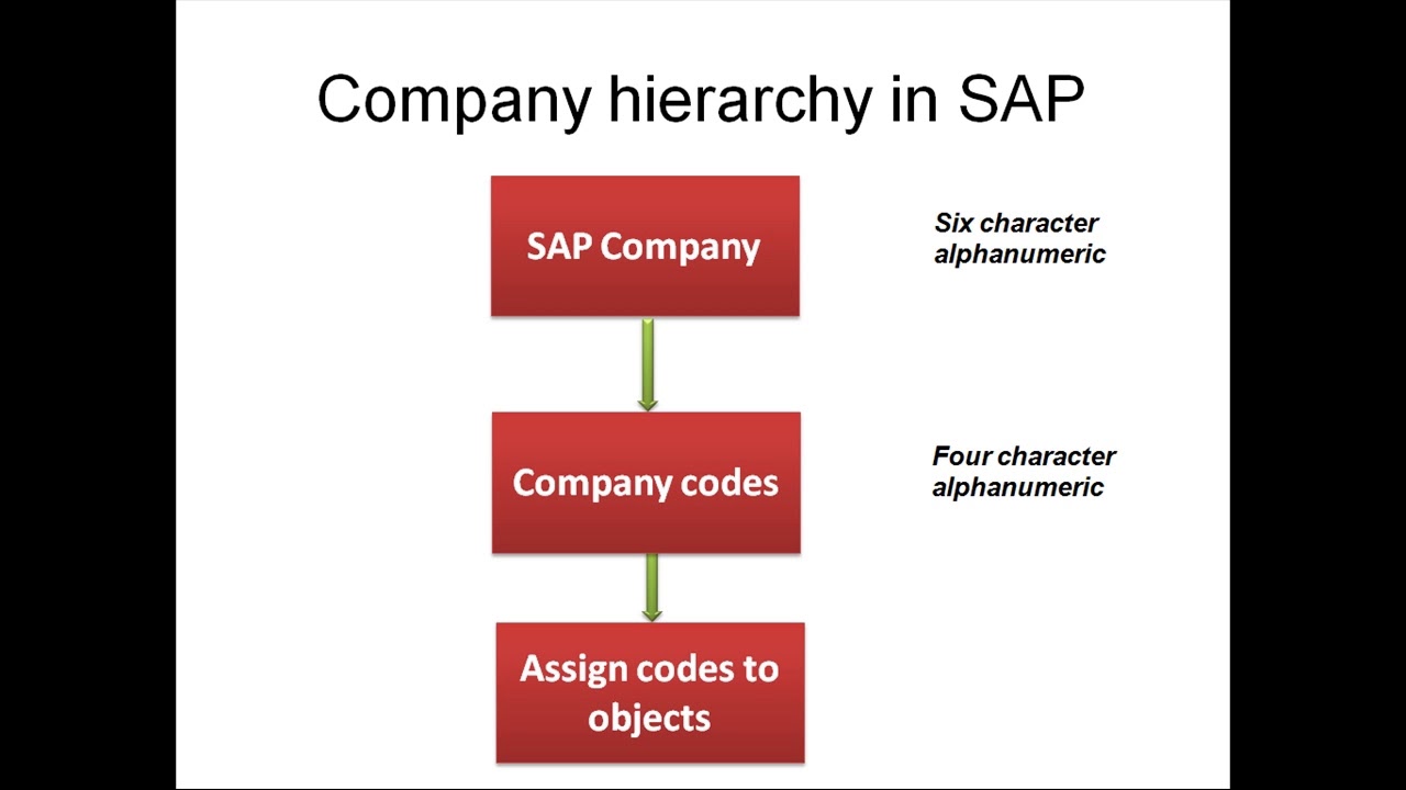 sap account assignment objects have differing company codes