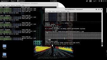 Stack Buffer Overflow Lab