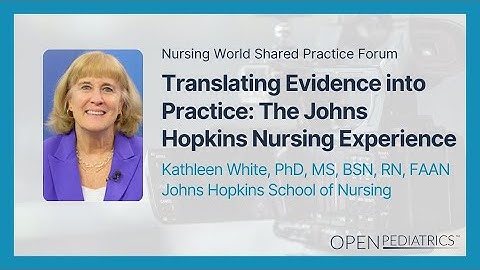 Translating Evidence into Practice - The Johns Hopkins Nursing Experience by M. DeGrazia, K. White