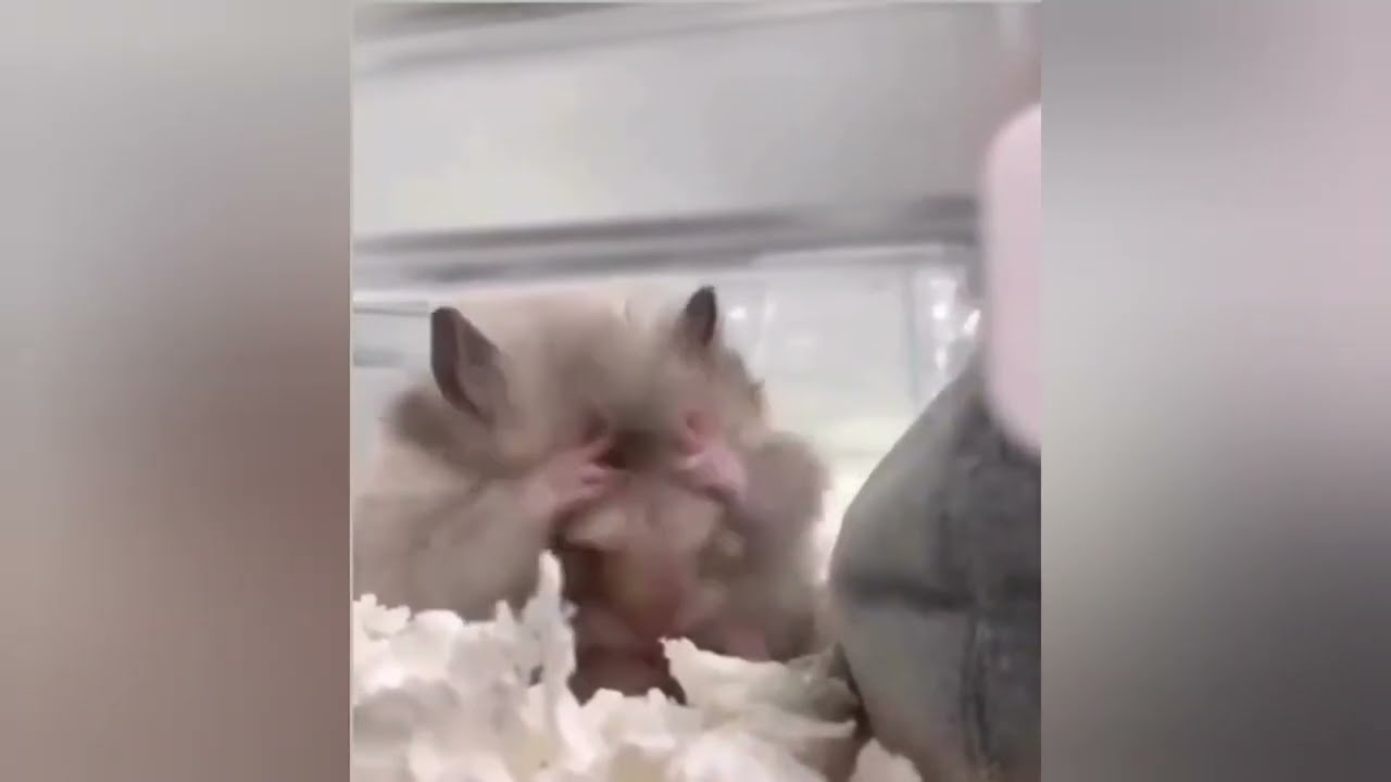 when you're really angry but trying to stay calm