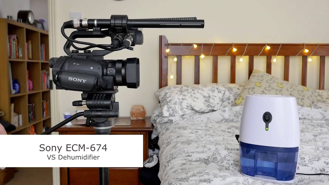 Rode NTG-2 vs Sony ECM-674 Comparison