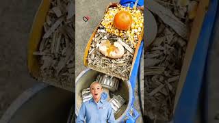 Animal Food Pellet Machine In Stock And Testing