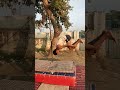 Gymnast vairal like and comment