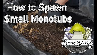 Spawning a Medium Sized Monotub