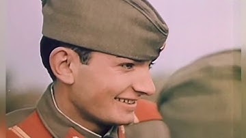 The Bristles - "Back in the DDR" Bristles Records - Official Music Video