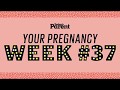 Your pregnancy: 37 weeks