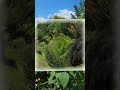 몽(송가인) 수도권매립지 드림파크 야생화공원