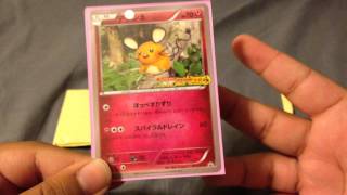Pokemon Tcbm Zoroarksclone Japanese Frenzy ﾉヮﾉﾟ