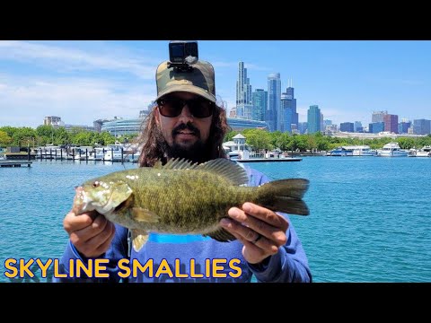 Chicago Smallmouth Bass Fishing Lake Michigan