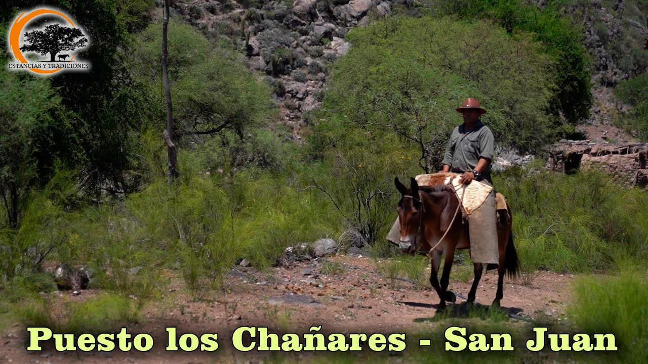 183 Puesto Los Chañares, San Juan - Estancias y Tradiciones