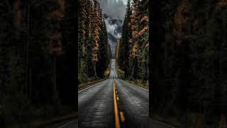 The best Forest🌲🍀wallpapar😍 The best Forest🌲🍀wallpapar😍
