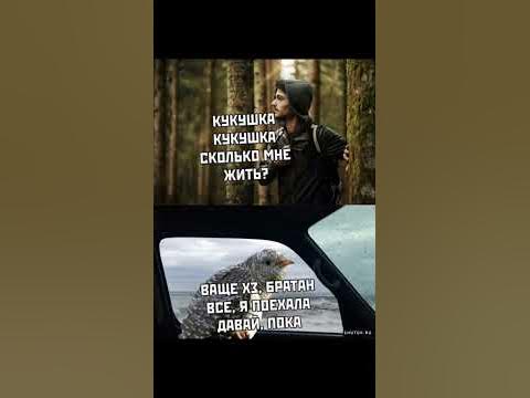 #мем#кукушка - YouTube