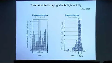 Dr. Axel Brockmann @InSearch 2018 JNCASR