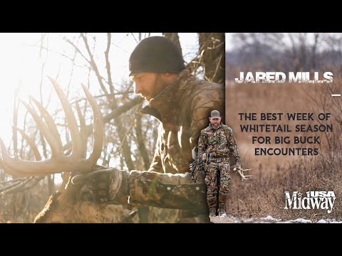 Best Week of Whitetail Season for Big Buck Encounters | Jared Mills