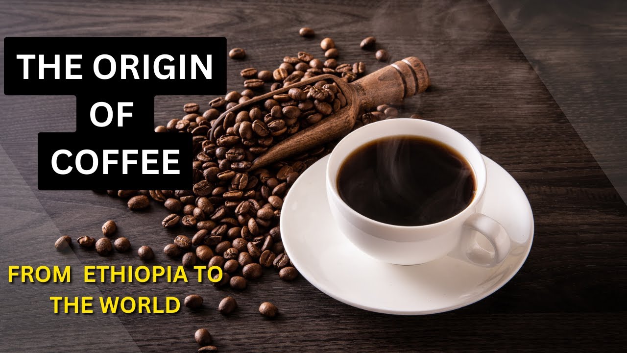 THE HISTORY OF COFFEE | ORIGIN OF COFFEE | From ETHIOPIA to the WORLD ...