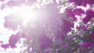 LisM - Conviccio'n Genuina (90% Transparencia)