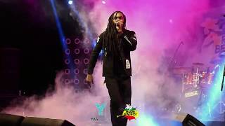 D Tone Band-Yas Island Reggae Beach Fest