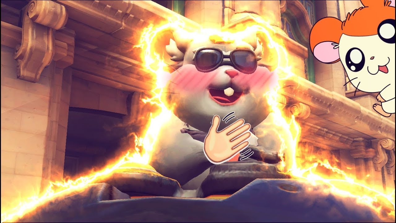 Nerf hammond