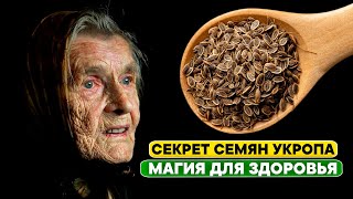 У Бабушки В 85 Лет Сосуды Лучше, Чем В 18! Всего 2 Чайных Ложек В Месяц! Чудо Семян Укропа