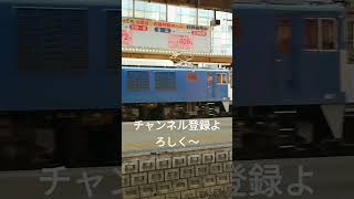 国鉄型車両　貨物　金山駅　無積載