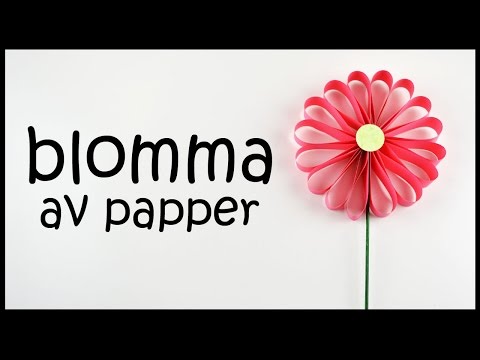 Video: Blomma • Sida 2