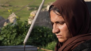 Iraq's Yazidis still haunted by Sinjar massacres