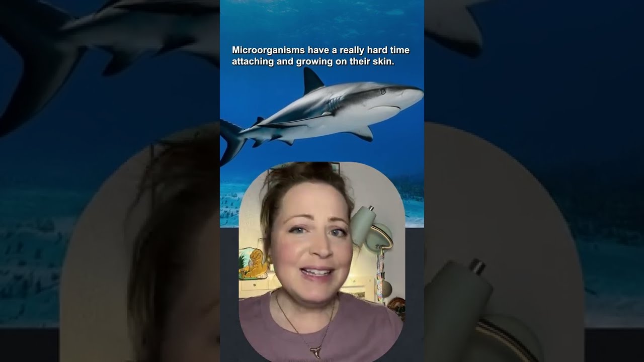 Sharks have antibacterial skin. Can we use that to save lives? #shorts