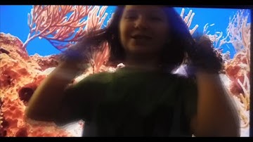 -BREE- "Save The Turtles" ( Official Music Video)