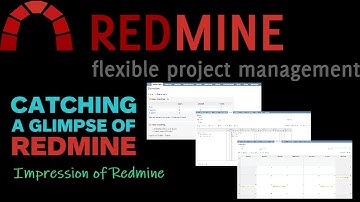 Catching a Glimpse of Redmine (Project Management Application): Very Basic and Entry-Level Usage