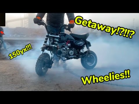 150yx monkey |